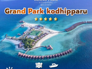 Grand Park kodhipparu