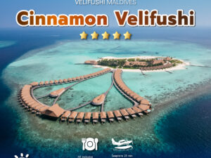 Cinnamon Velifushi