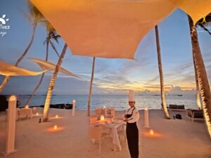 Joy Island Resort Maldives by Cocoon - Image 5