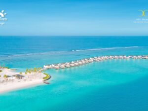Joy Island Resort Maldives by Cocoon - Image 14