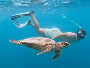 Joy Island Resort Maldives by Cocoon - Image 9